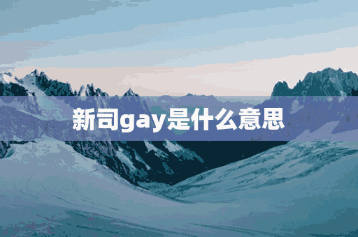 新司gay是什么意思